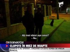 Clopote in miez de noapte