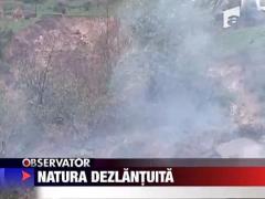 Natura dezlantuita