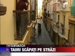 Tauri, scapati pe strazi