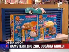 Hamsterii Zhu Zhu, jucaria anului