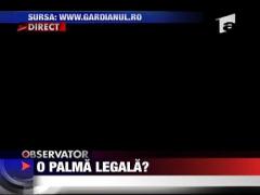 O palma legala?