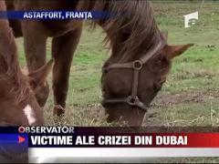 Victime ale crizei din Dubai