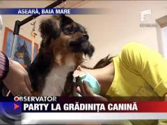 Party la gradinita canina