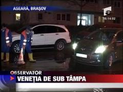 Venetia de sub Tampa