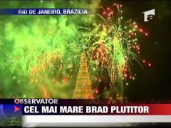 Cel mai mare brad plutitor