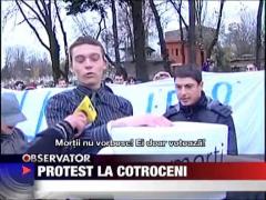 Protest la Cotroceni