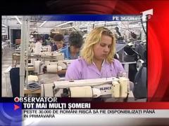 Tot mai multi someri