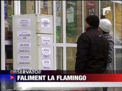 Faliment la Flamingo
