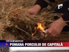 Pomana porcului de Capitala