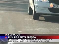 Pusi pe o pista gresita