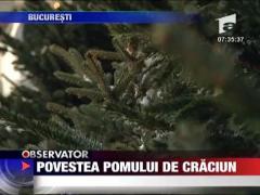 Povestea pomului de Craciun