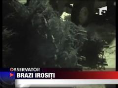Brazi irositi