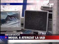 Mosul a aterizat la Iasi