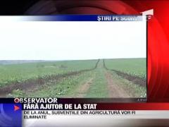 Fara ajutor de la stat