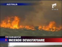 Incendii devastatoare
