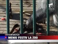 Meniu festiv la Zoo