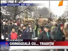 Ciomageala cu... traditie