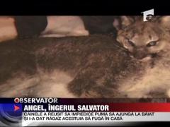 Angel, ingerul salvator