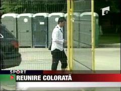 Reunire colorata la Dinamo