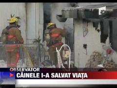 Cainele i-a salvat viata