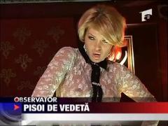 Pisoi de vedeta