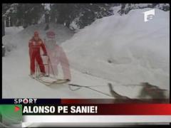 Alonso, pe sanie!