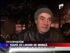 Teapa cu locurile de munca