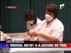 Virusul AH1N1 s-a ascuns de frig