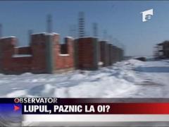 Suspect impuscat in picior de un politist