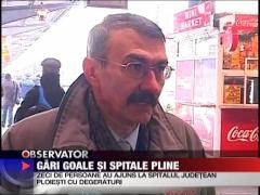 Gerul a oprit in gari trenurile