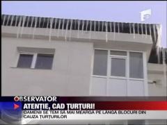 Atentie, cad turturi!