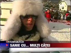 Concurs de sanii trase de caini