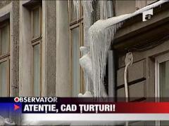 Atentie, cad turturi!