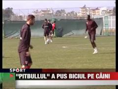 Ionel Ganea a pus biciul pe "caini"