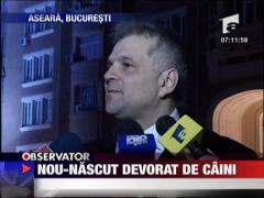 Nou-nascut, devorat de caini