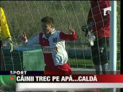 Cainii trec pe apa... calda