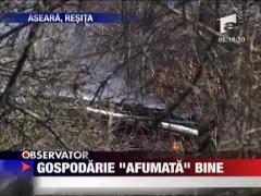 Gospodarie, "afumata" bine