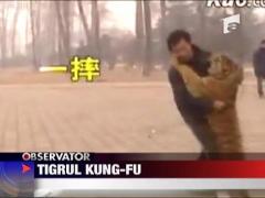 Tigrul care face rodeo