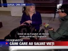 Caini care le-au salvat viata