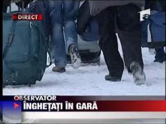 Cod portocaliu in Gara de Nord