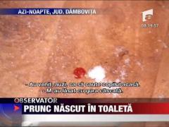 Observator de weekend