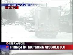 Prinsi in capcana viscolului