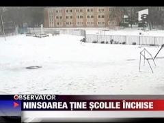 Scolile raman inchise