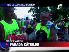 Parada cateilor in Brazilia