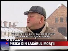 Pisica din lagarul mortii