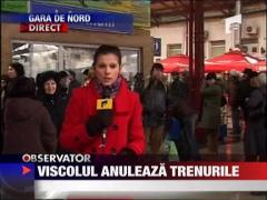 Viscolul anuleaza trenurile