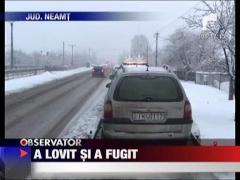 Un sofer beat a lovit si a fugit