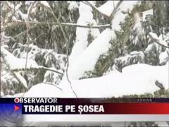 Romani, morti in Bulgaria