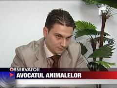 Avocatul animalelor