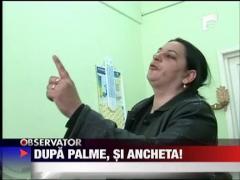 Dupa palme, si ancheta!